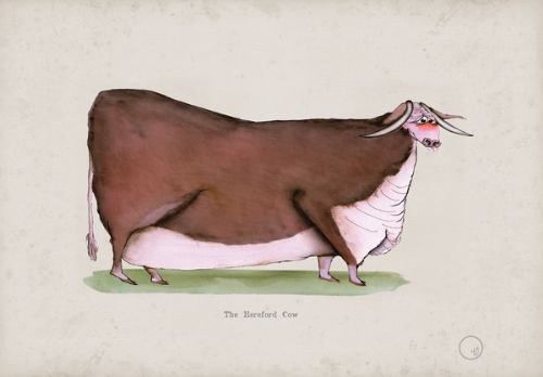 The Hereford Cow, fun heritage art print by Tony Fernandes